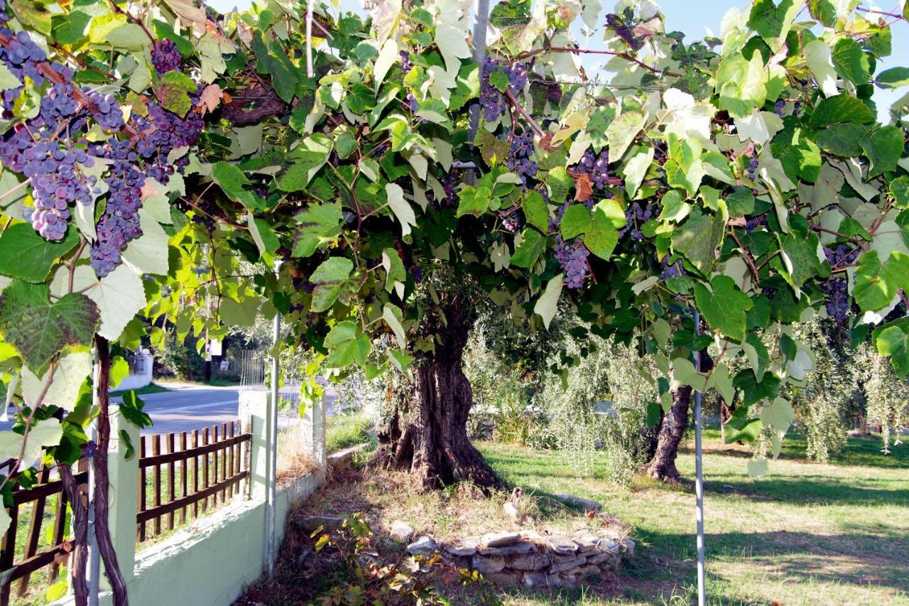 Hotel Athina Kinira Exterior foto